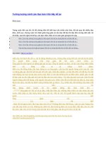 Tưởng tượng cảnh lão hạc bán chó hãy kể lại