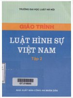 Giáo trình luật hình sự việt nam (tập 2) phần 1 