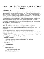 Giáo án Ngữ văn 11 tuần 1: Từ ngôn ngữ chung đến lời nói cá nhân