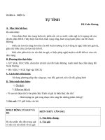 Giáo án Ngữ văn 11 tuần 2: Tự tình (bài II)