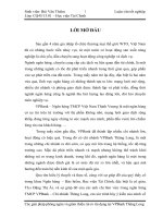 Các biện pháp phòng ngừa và giảm thiểu rủi ro tín dụng của ngân hàng thương mại cổ phần Việt Nam Thịnh Vượng ( VPBank ) – Chi nhánh Thăng Long