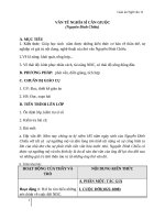 Giáo án Ngữ văn 11 tuần 6: Văn tế nghĩa sĩ Cần Giuộc (phần tác phẩm)