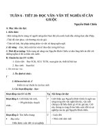 Giáo án Ngữ văn 11 tuần 6: Văn tế nghĩa sĩ Cần Giuộc (phần tác phẩm)