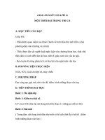 Giáo án Ngữ văn 11 tuần 31 bài: Một thời đại trong thi ca  Hoài Thanh