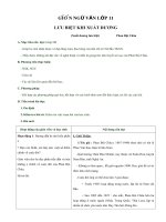 Giáo án Ngữ văn 11 tuần 19 bài: Lưu biệt khi xuất dương  Phan Bội Châu