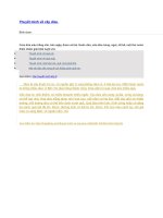 Thuyết minh về cây dừa