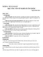 Giáo án Ngữ văn 11 tuần 6: Văn tế nghĩa sĩ Cần Giuộc (phần tác phẩm)