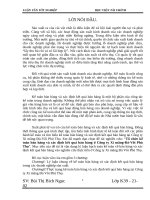 Tổ chức kế toán bán hàng và xác định kết quả bán hàng ở Công ty Xi măng Đá Vôi Phú Thọ