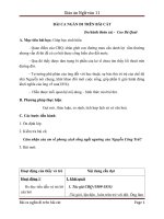 Giáo án Ngữ văn 11 tuần 4: Bài ca ngắn đi trên bãi cát (Sa hành đoản ca)