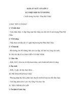 Giáo án Ngữ văn 11 tuần 19 bài: Lưu biệt khi xuất dương  Phan Bội Châu