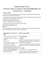 Giáo án Ngữ văn 11 tuần 4: Bài ca ngắn đi trên bãi cát (Sa hành đoản ca)