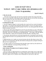 Giáo án Ngữ văn 11 tuần 7: Đọc thêm: Xin lập khoa luật (Trích Tế cấp bát điều)