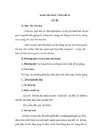 Giáo án Ngữ văn 11 tuần 24 bài: Từ ấy  Tố Hữu