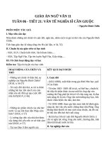 Giáo án Ngữ văn 11 tuần 6: Văn tế nghĩa sĩ Cần Giuộc (phần tác phẩm)