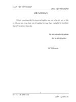 Thực trạng và giải pháp thúc đẩy hoạt động kinh doanh bảo hiểm hỏa hoạn và các rủi ro đặc biệt tại tổng công ty cổ phần bảo hiểm bưu điện  