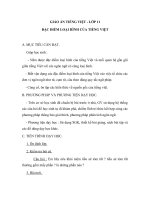 Giáo án Ngữ văn 11 tuần 25 bài: Đặc điểm loại hình của tiếng việt