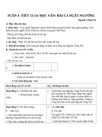 Giáo án Ngữ văn 11 tuần 4: Bài ca ngất ngưởng