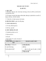 Giáo án Ngữ văn 11 tuần 5: Viết bài làm văn số 2: Nghị luận văn học (làm ở nhà)