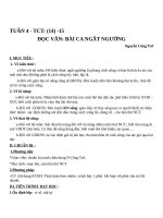 Giáo án Ngữ văn 11 tuần 4: Bài ca ngất ngưởng