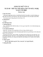 Giáo án Ngữ văn 11 tuần 5: Viết bài làm văn số 2: Nghị luận văn học (làm ở nhà)