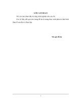 THỰC TRẠNG hệ THỐNG THÔNG TIN kế TOÁN vốn BẰNG TIỀN và GIẢI PHÁP PHÂN TÍCH hệ THỐNG tại CÔNG TY cổ PHẦN TRUYỀN THÔNG VIỆT NAM