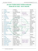 202 cặp ĐỒNG NGHĨA TRONG TOEIC   BETTY NGUYỄN