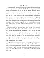 Một số giải pháp nhằm nâng cao hiệu quả quản lý chi ngân sách nhà nước cho sự nghiệp giáo dục ( cấp mầm non, tiểu học và trung học cơ sở) ở huyện từ liêm trong điều kiện hiện nay 