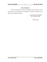 Tác động của đầu tư trực tiếp nước ngoài đến chuyển dịch cơ cấu kinh tế ở việt nam 