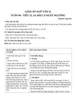 Giáo án Ngữ văn 11 tuần 4: Bài ca ngất ngưởng