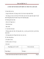 Giáo án Ngữ văn 11 tuần 32: Luyện tập vận dụng kết hợp các thao tác lập luận