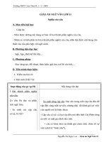 Giáo án Ngữ văn 11 tuần 19 bài: Nghĩa của câu