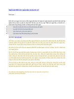 Nghị luận một con ngựa đau cả tàu bỏ cỏ