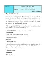 Giáo án Ngữ văn 12 tuần 24 bài: Chiếc thuyền ngoài xa  Nguyễn Minh Châu