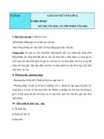 Giáo án Ngữ văn 12 tuần 33: Giá trị văn học và tiếp nhận văn học