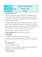 Giáo án Ngữ văn 12 tuần 19 bài: Vợ chồng A Phủ