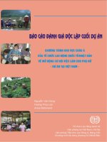 BÁO CÁO ĐÁNH GIÁ ĐỘC LẬP CUỐI DỰ ÁN Chương trình Khu vực Châu Á của Tổ chức Lao động Quốc tế/Nhật Bản về Mở rộng Cơ hội Việc làm cho Phụ nữ Dự án tại Việt Nam
