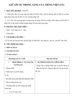 Giáo án Ngữ văn 12 tuần 3: Giữ gìn sự trong sáng của tiếng Việt (TT)