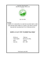 Nghiên cứu ảnh hưởng của một số loại phân bón lá đến sinh trưởng phát triển của giống cam vinh tại trang trại Bùi Huy Hạnh Huyện Tứ Kỳ, tỉnh Hải Dương (Khóa luận tốt nghiệp)