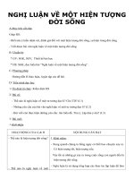 Giáo án Ngữ văn 12 tuần 4: Nghị luận về một hiện tượng đời sống