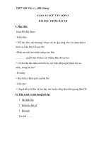 Giáo án Ngữ văn 12 tuần 14 bài đọc thêm: Bác ơi  Tố Hữu