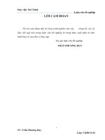 Các giải pháp tăng cường quản trị sử dụng vốn kinh doanh của công ty cổ phần xây dựng và thương mại nam dương 