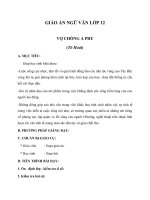 Giáo án Ngữ văn 12 tuần 19 bài: Vợ chồng A Phủ