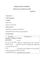 Giáo án Ngữ văn 12 tuần 23 bài: Những đứa con trong gia đình  Nguyễn Thi