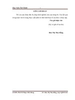 Hoàn thiện quy trình kiểm toán chu kỳ bán hàng   thu tiền trong kiểm toán báo cáo tài chính do công ty TNHH PKF việt nam thực hiện 