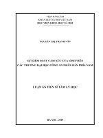 Sự kiểm soát cảm xúc của sinh viên các trường Đại học Công an nhân dân phía Nam (Luận án tiến sĩ)