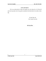 Hoàn thiện kỹ thuật chọn mẫu trong kiểm toán BCTC tại công ty TNHH kiểm toán VACO”