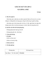 Giáo án Ngữ văn 12 tuần 19 bài: Vợ chồng A Phủ