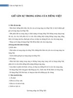 Giáo án Ngữ văn 12 tuần 2: Giữ gìn trong sáng của Tiếng Việt