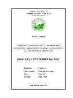 Nghiên cứu ảnh hưởng của mật độ trồng đến sinh trưởng và phát triển của giống cà chua Hero 95 vụ Xuân Hè 2018 tại Thái Nguyên (Khóa luận tốt nghiệp)
