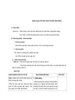 Giáo án Ngữ văn 12 tuần 4: Nghị luận về một hiện tượng đời sống